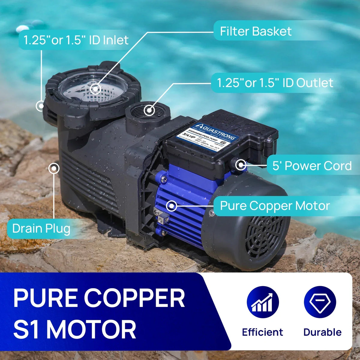 Bomba de Piscina de Velocidade Única de 3/4 HP PSP066-LV 2025
