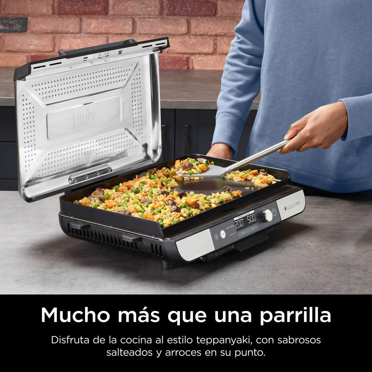Ninja Sizzle Pro XL Grill and Chapa Interna com Chapa e Grelha de Cerâmica Antiaderente, Tampa Removível, Coletor de Gordura e Guia de Receitas, Prata/Preto GX101EU