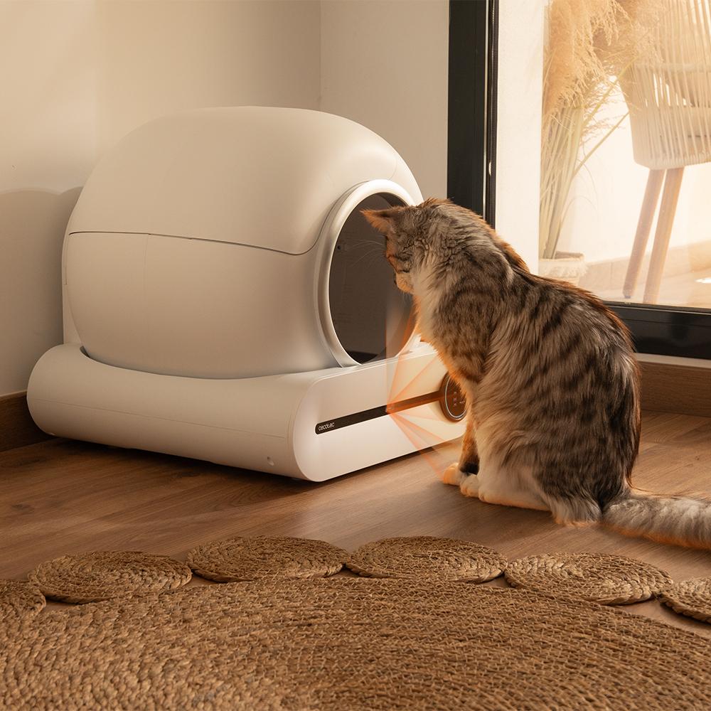 Pumba 8000 CleanKitty Inteligente