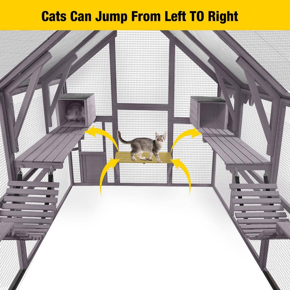 aivituvin Recinto Externo para Gatos – Grande Área de Brincadeira para Gatos