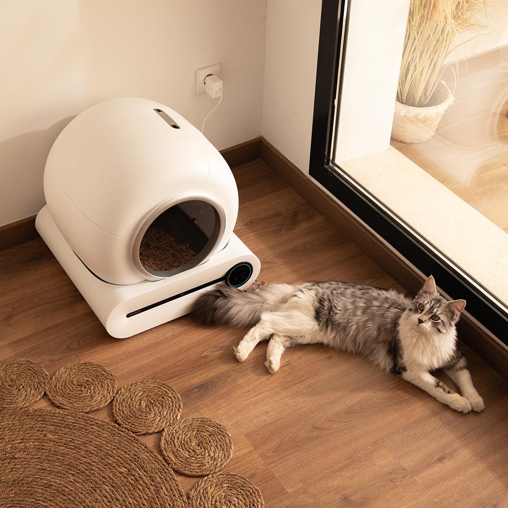 Pumba 8000 CleanKitty Inteligente