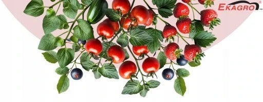 Terra Orgânica BIO Composto 1050L para Tomate Vegetais Mudas PALETE