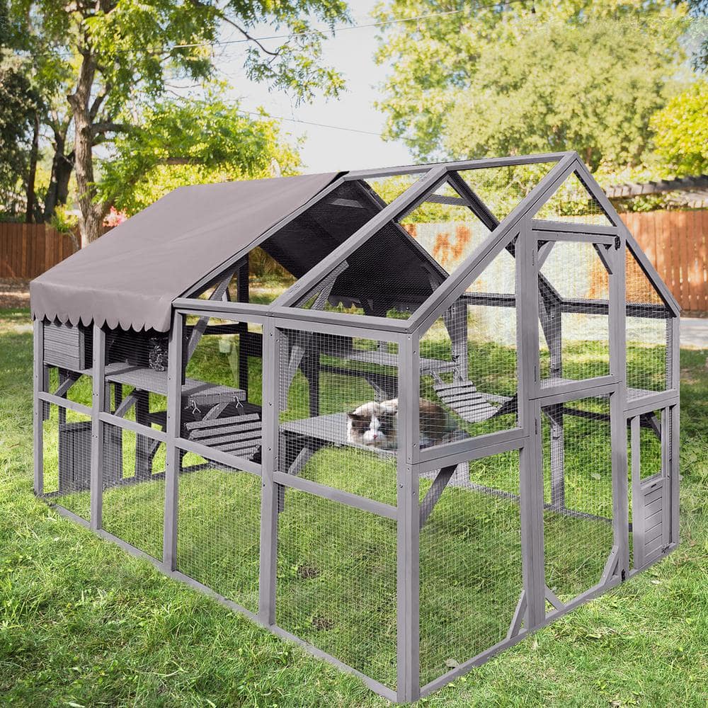 aivituvin Recinto Externo para Gatos – Grande Área de Brincadeira para Gatos