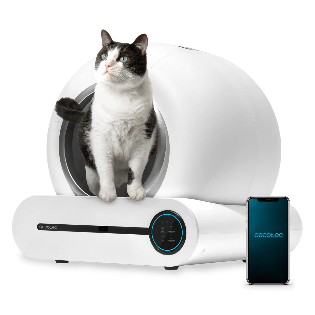 Pumba 8000 CleanKitty Inteligente