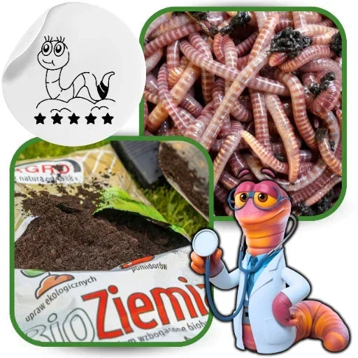 Terra Orgânica BIO Composto 1050L para Tomate Vegetais Mudas PALETE