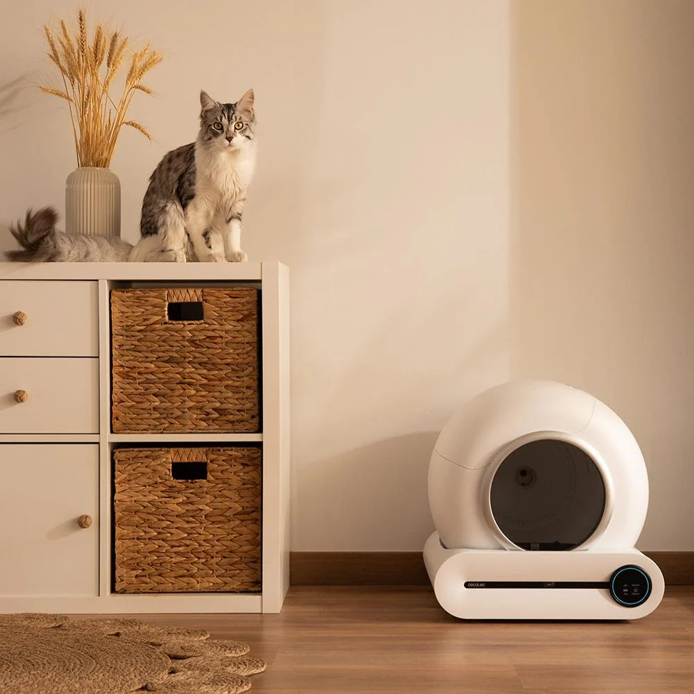 Pumba 8000 CleanKitty Inteligente