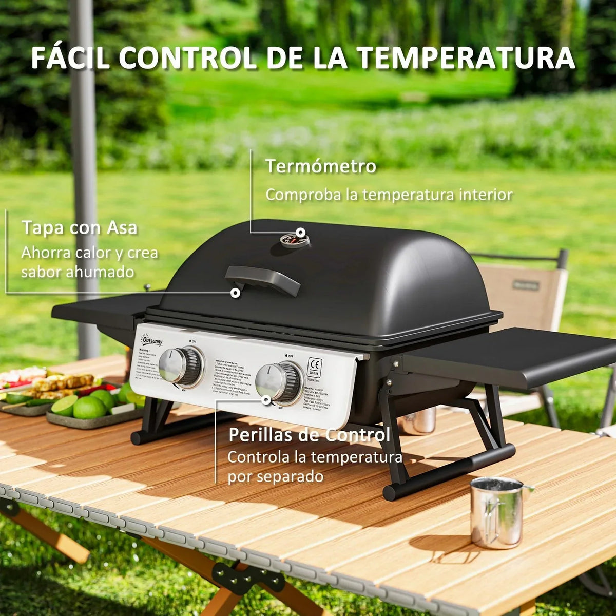 Churrasqueira a Gás de Aço Inoxidável Abs Outsunny - 101x48x41 cm. Preto